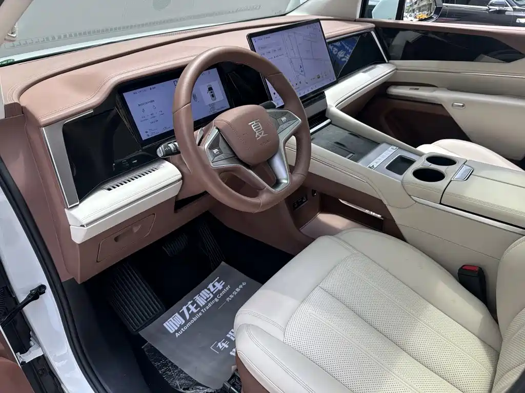 BYD Xia 2025 2025 DM-i 1.5T 180km Surpass Edition