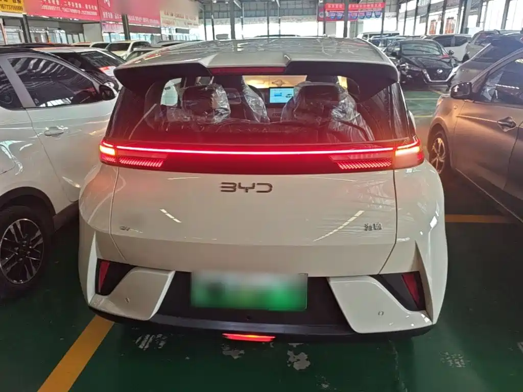 BYD Seagull 2026 2025 Smart Drive Edition 305km Vitality Version