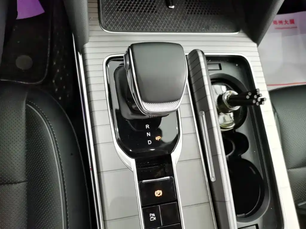 Photo 14 - Hongqi HS7 PHEV