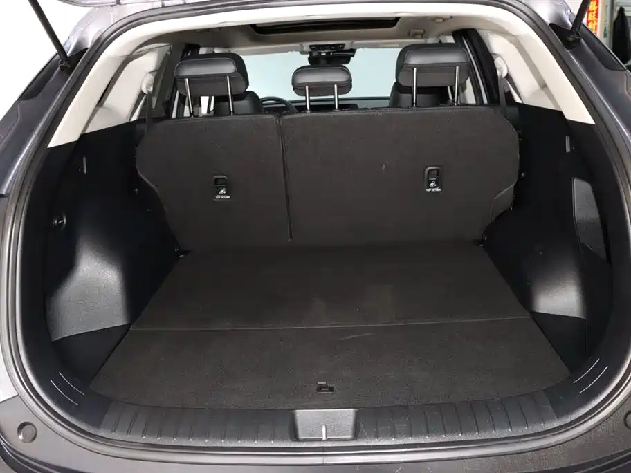 KIA LION PLATINUM EXPANDS THE WORLD