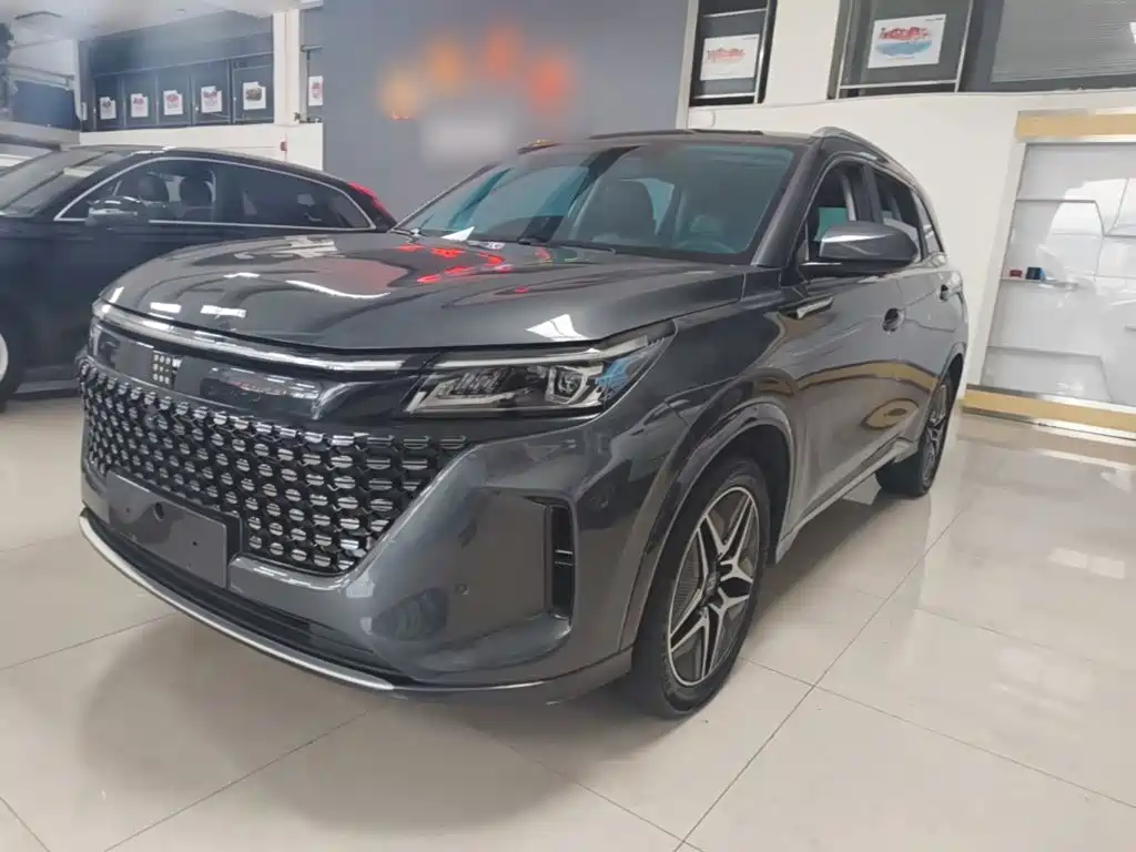 Landian E5 2024 2024 Glory Edition 100KM Ultimate Type 7-Seater