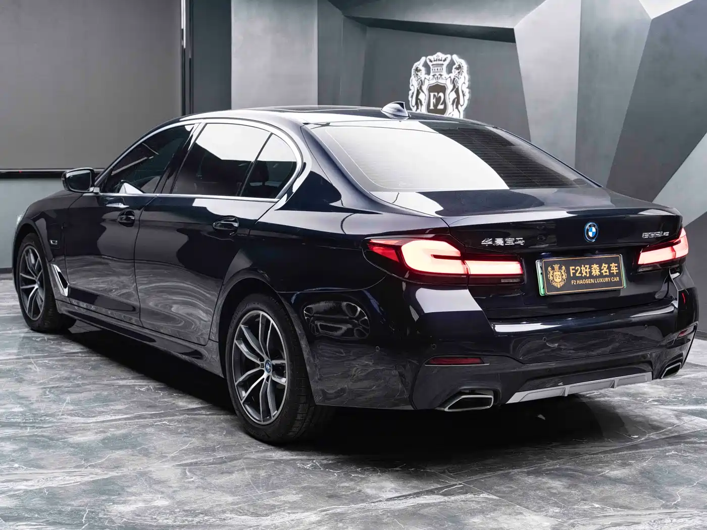 BMW 5 Series New Energy 2022 Model Second Facelift 535Le M Sport Package фото 12