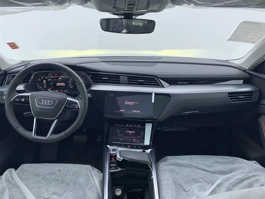 Audi e-tron 2021 50 quattro Luxury фото 16