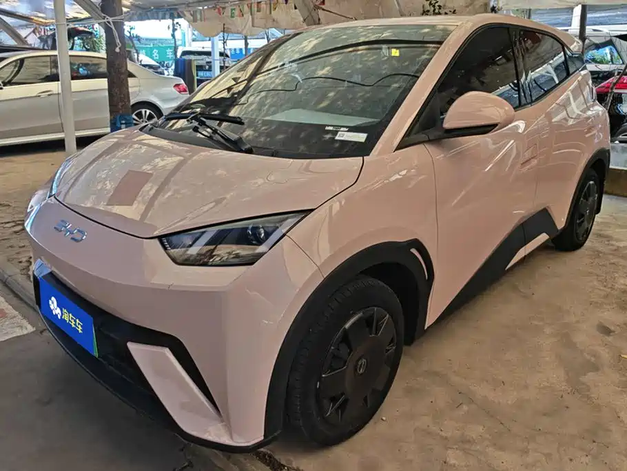 BYD Seagull 2024