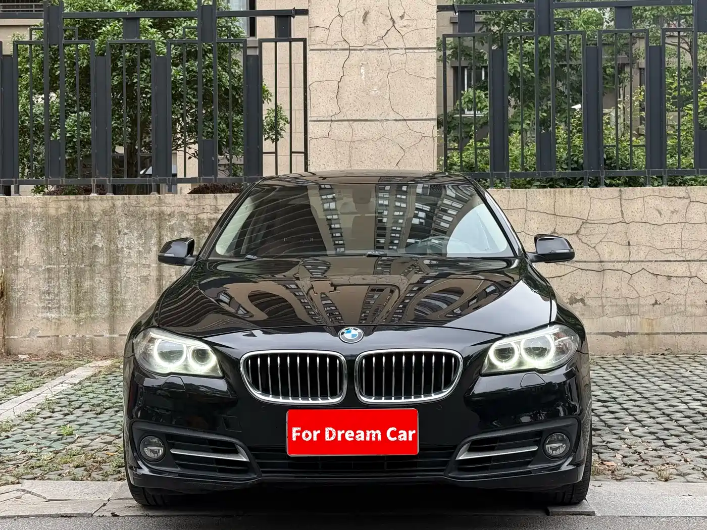 BMW 5 Series 2014 525Li Leading фото 2