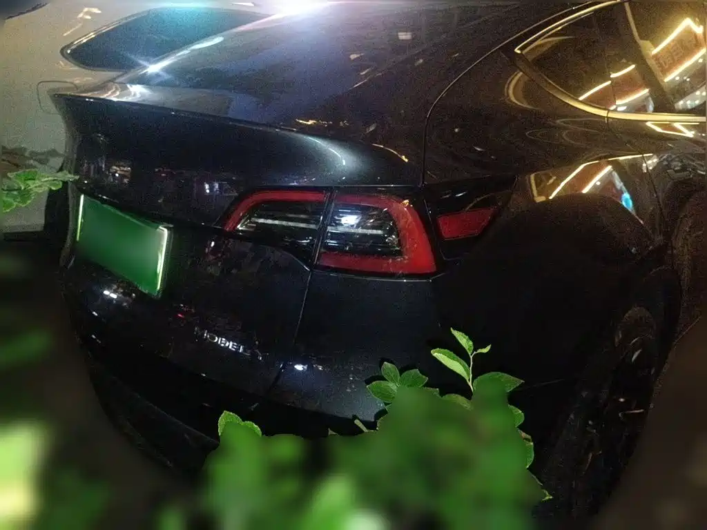 Фото 4 - Tesla Model Y