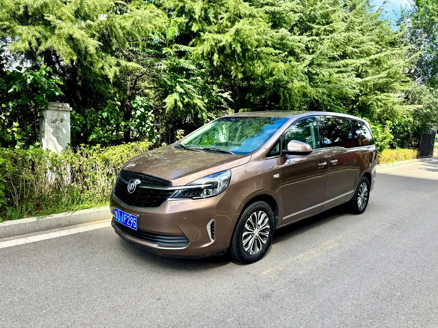 Фото 1 - Buick GL8