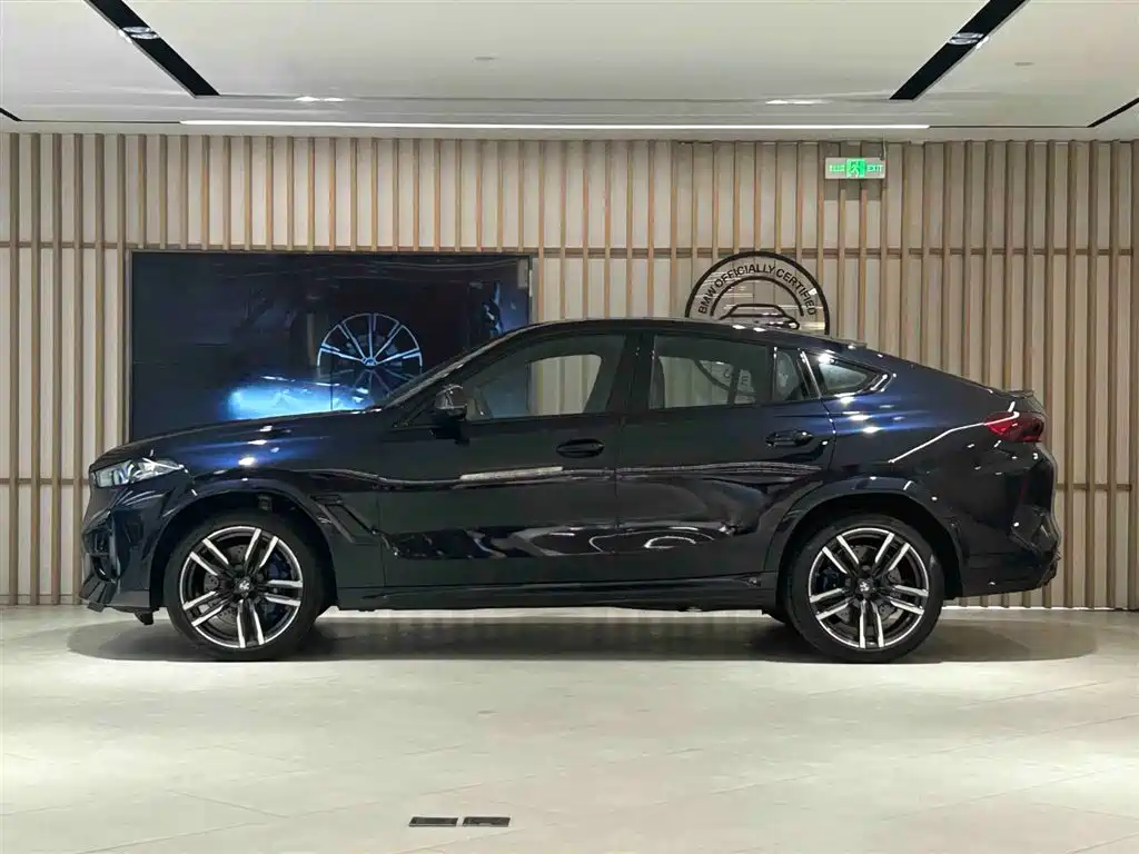 BMW X6 M