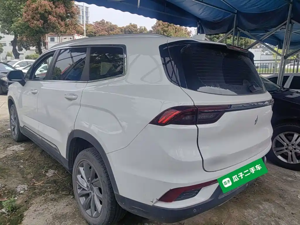 Ruilan Auto Ruilan 9 2024 2023 470km Executive Version