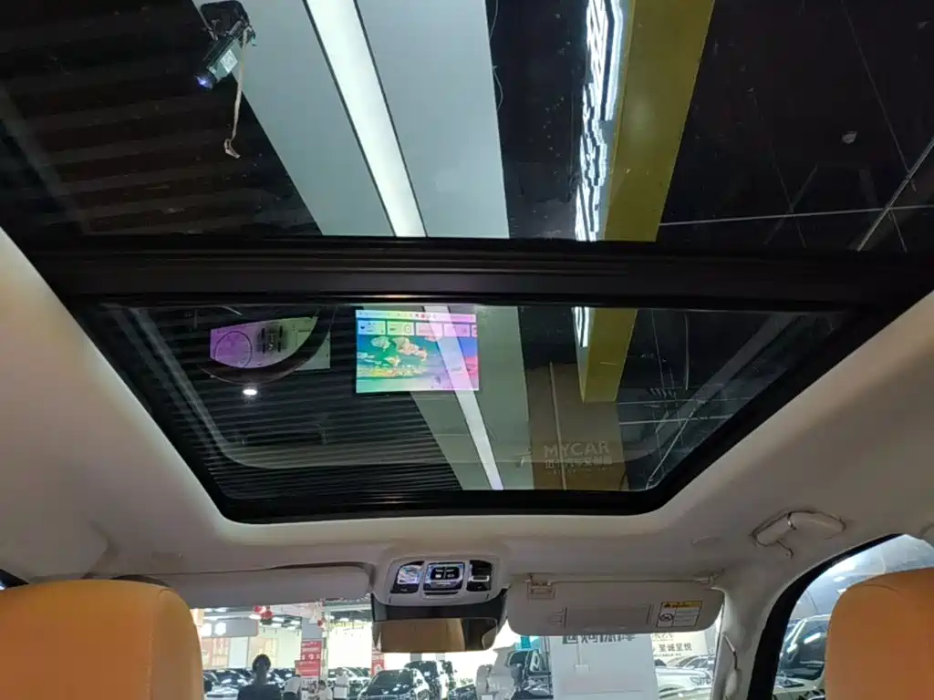 Tank 500 EV 2025 2024 Hi4-T