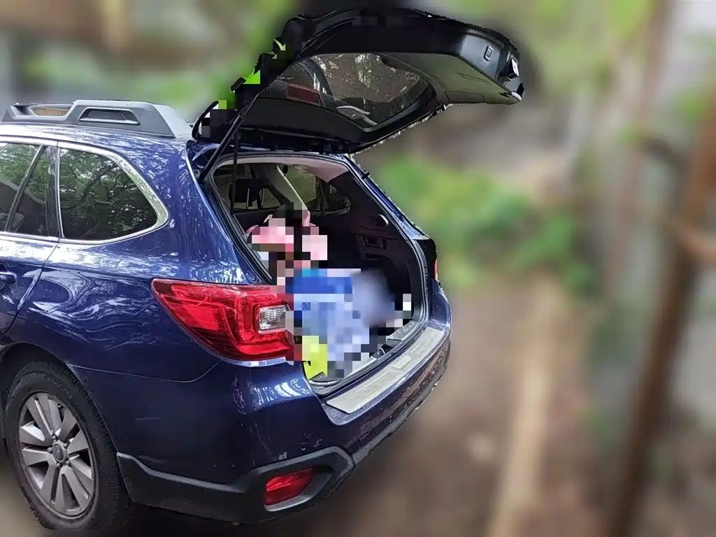 Subaru Outback 2015 2.5i Luxury Navigation Edition фото 10