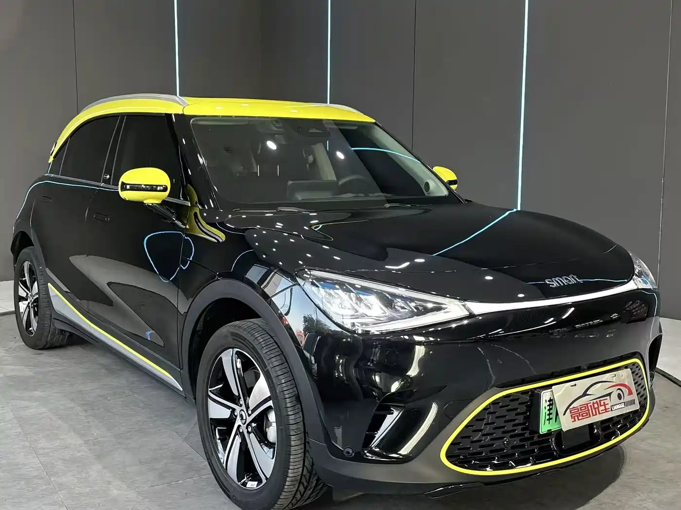 2025 smart Elf #1