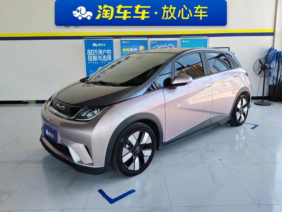 BYD Dolphin 2021