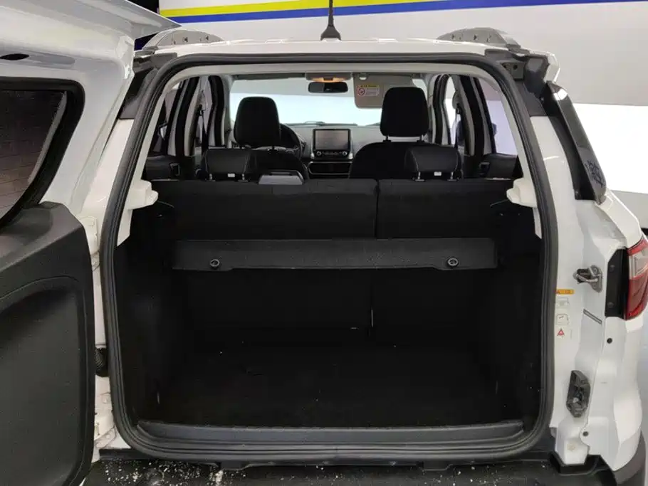 Ford EcoSport 2018 2018 1.5L Automatic Platinum Wing