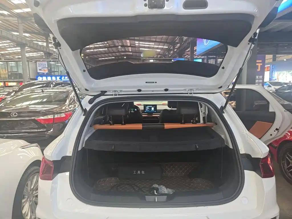 BYD e2 2021 2021 Luxury Edition