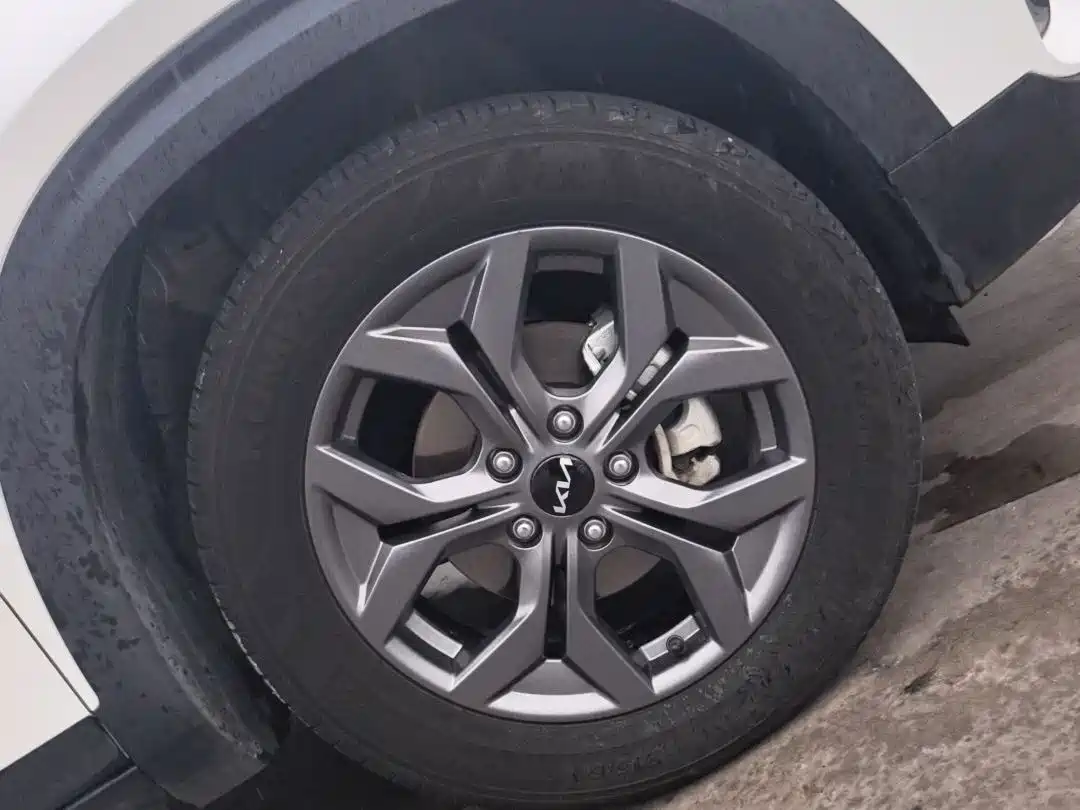 Kia Seltos 2023 1.5L CVT Luxury Edition фото 15