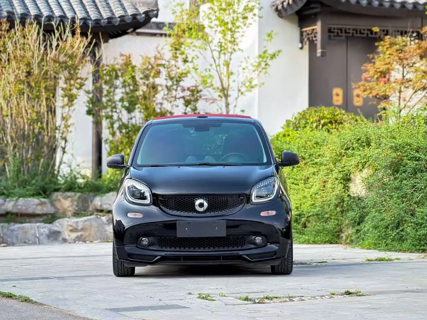 smart fortwo 2016 1.0L 52kW Convertible Passion Edition фото 2
