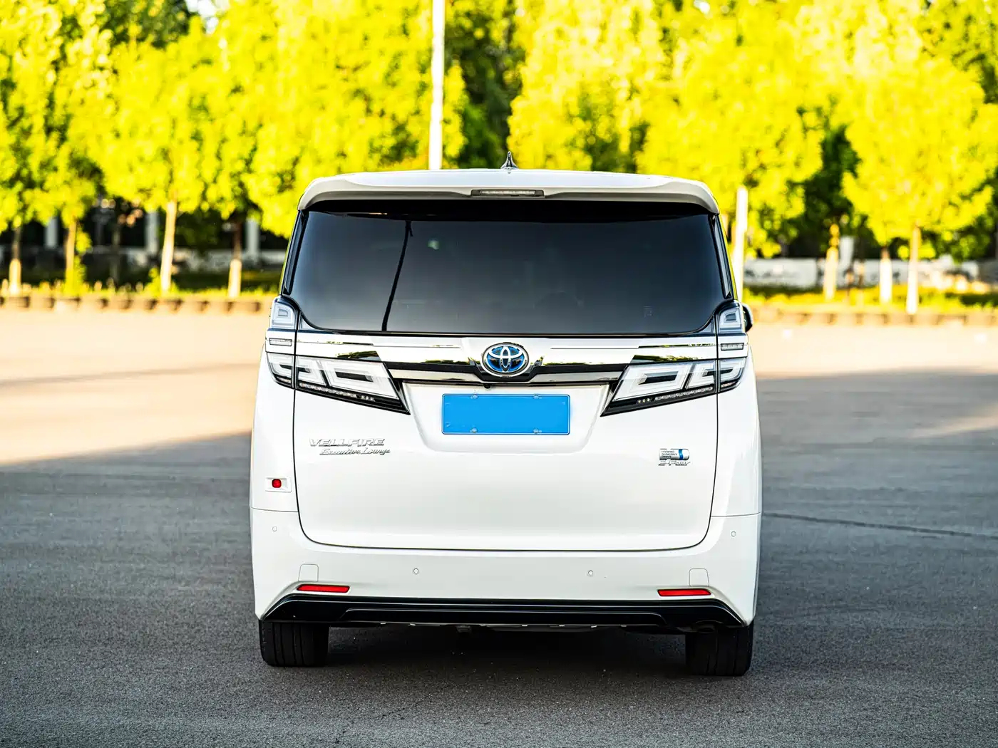 Toyota Vellfire 2020 Twin Engine 2.5L HV Premium Edition фото 3