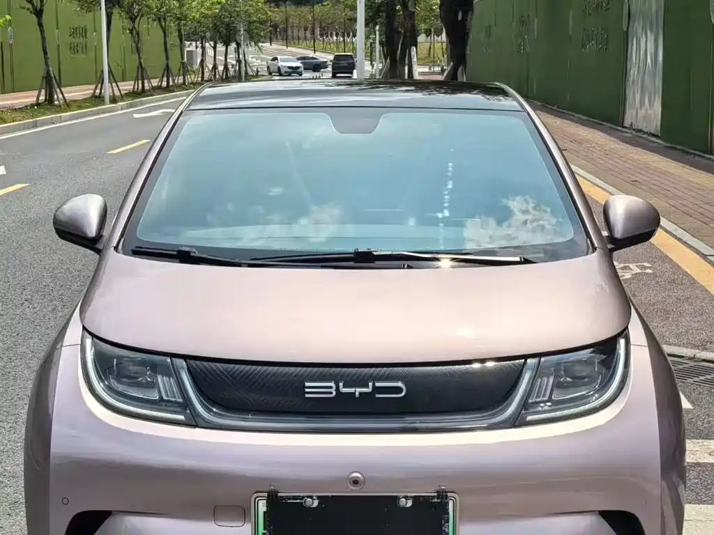 BYD Dolphin 2023 420km Fashion Edition фото 4