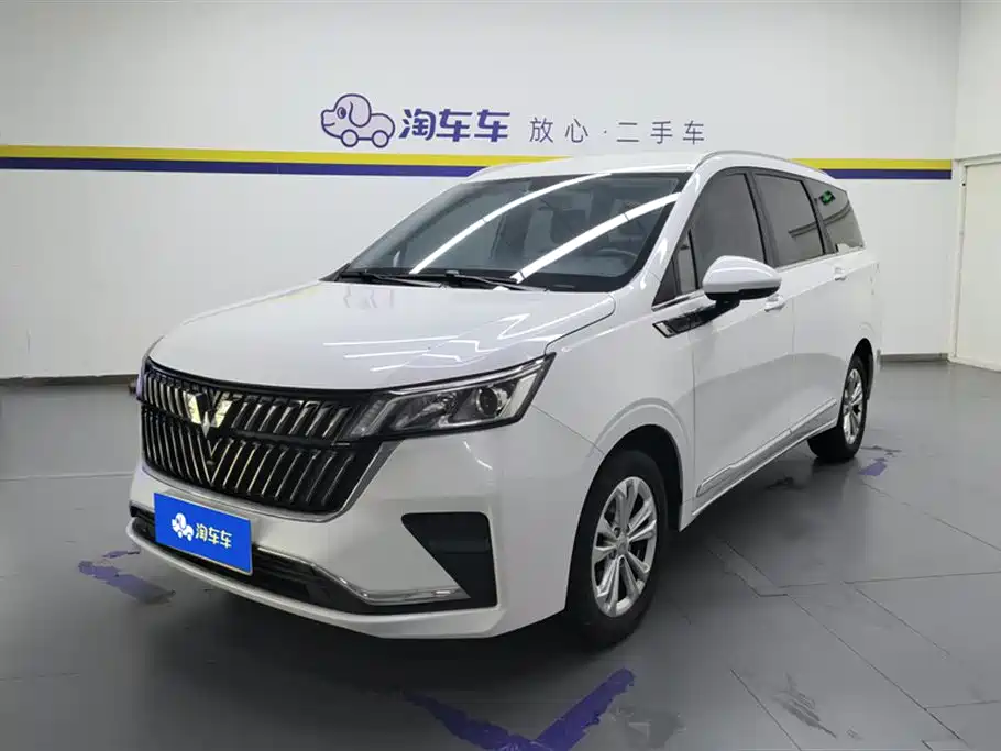 Wuling Motors Wuling Jiachen 2022 1.5T Manual Light Vitality Edition
