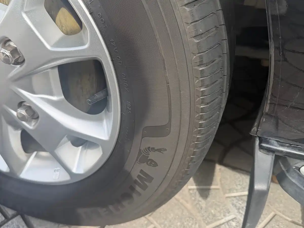 Ford Tourneo 2020 2020 2.0T Auto Elite Edition China VI