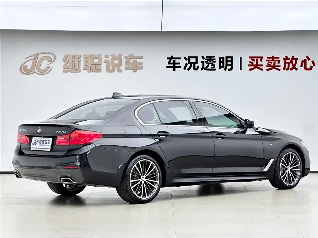 BMW 5 Series 2020 530Li Exclusive M Sport Package фото 5