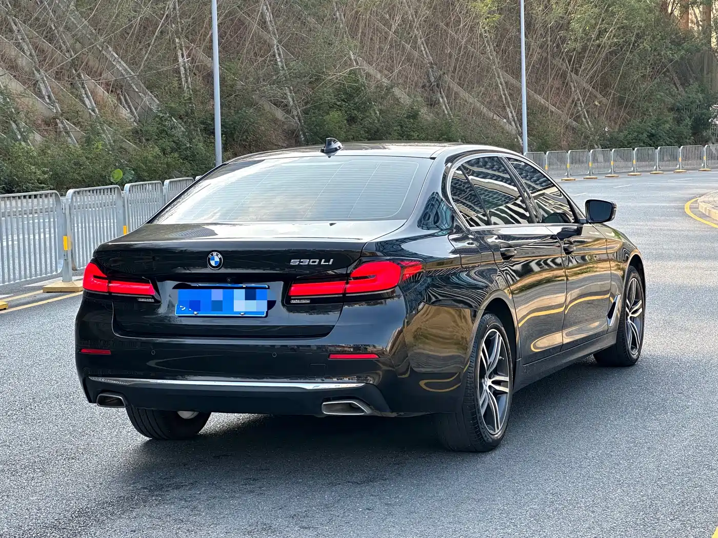 BMW 5 Series 2021 Facelift 530Li Leading Luxury Package фото 4