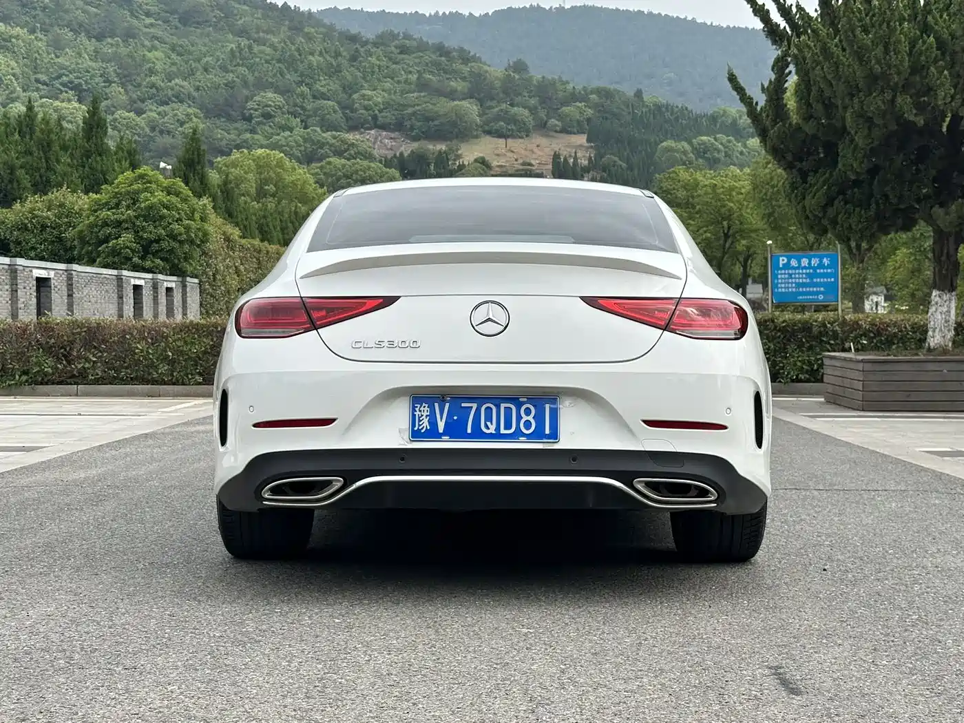Mercedes-Benz CLS 2022 CLS 300 Luxury фото 14
