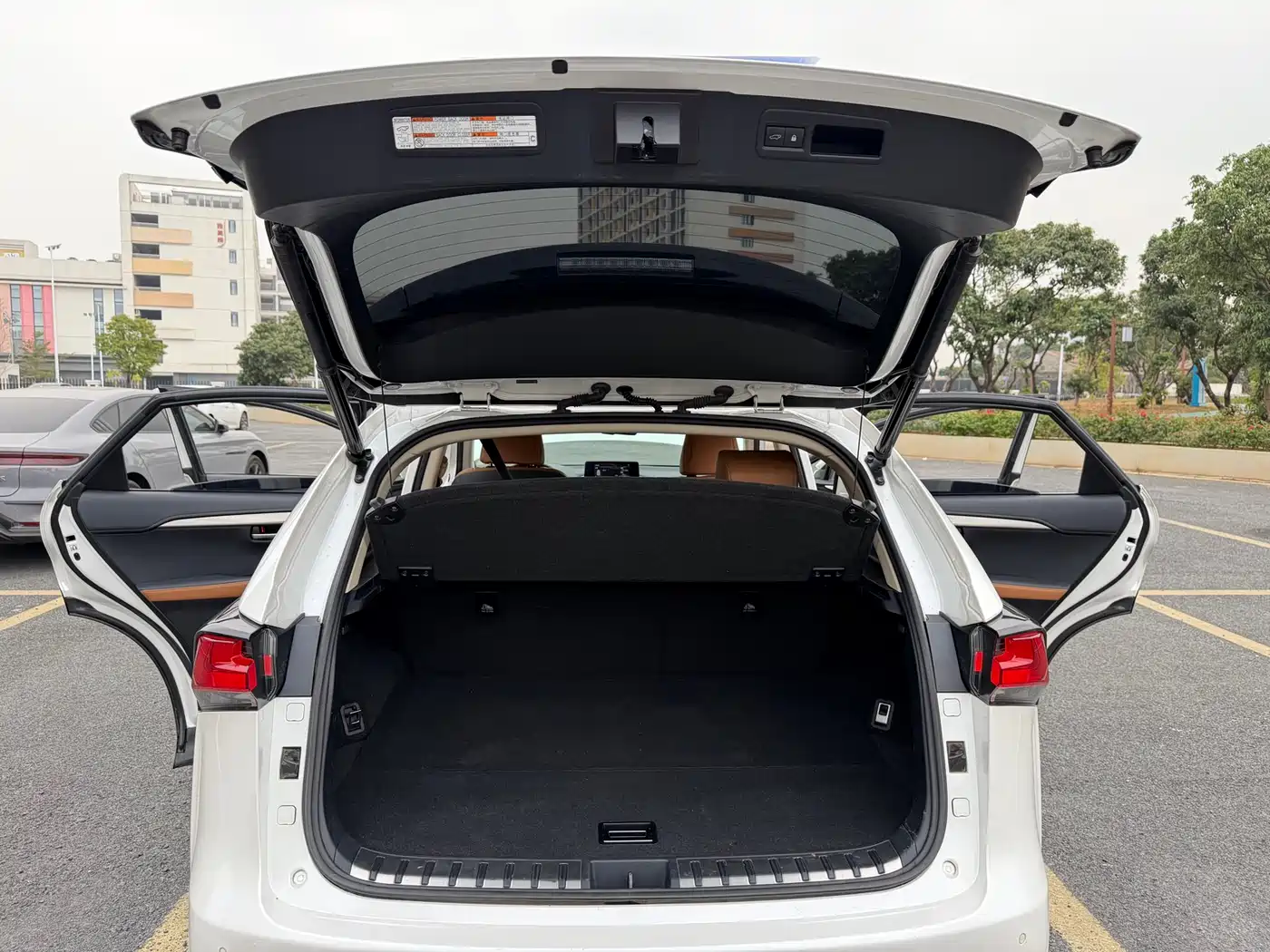 Lexus NX 2018 Model 300 FWD Fengxing Edition фото 16