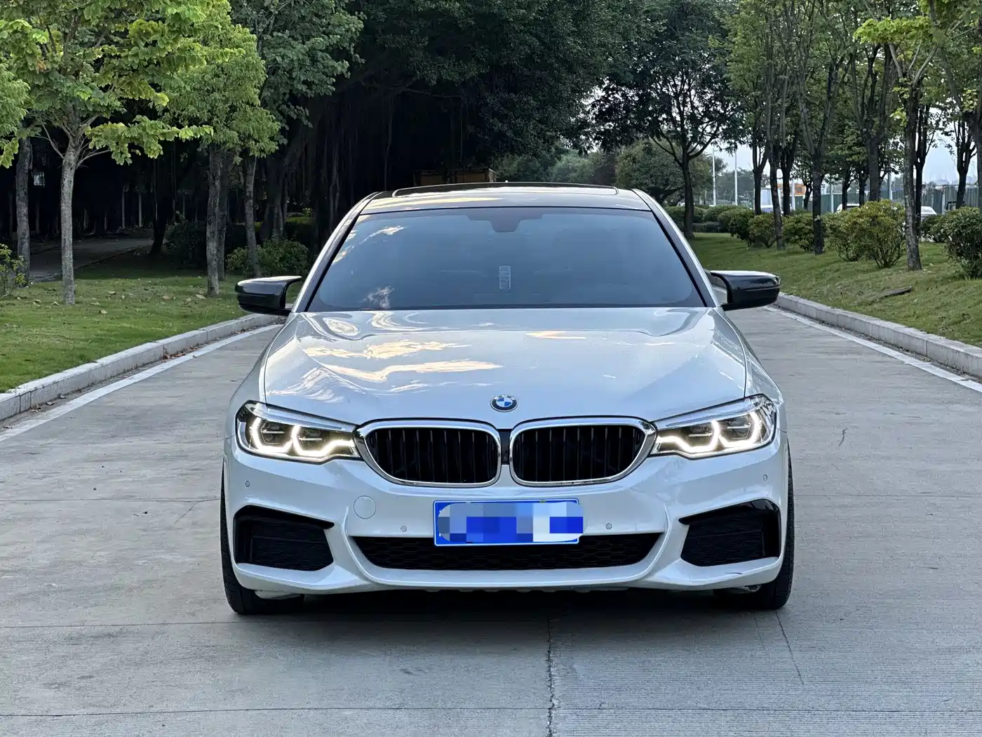 BMW 5 Series 2019 530Li Premium M Sport Package фото 2