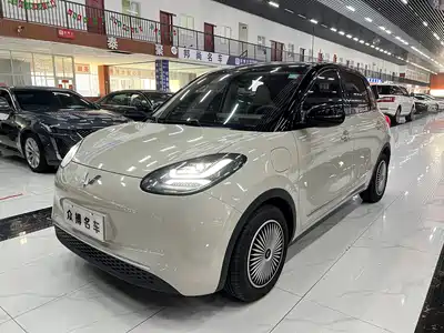 Wuling Bingo