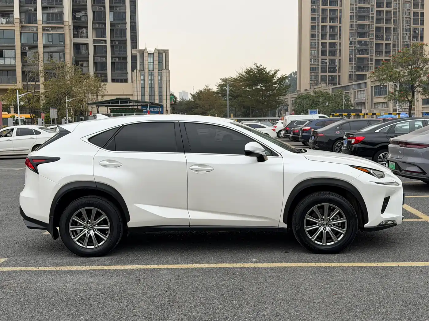 Lexus NX 2018 Model 300 FWD Fengxing Edition фото 5