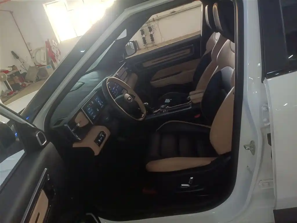 Geely ICON 2023 2023 1.5TD Protagonist