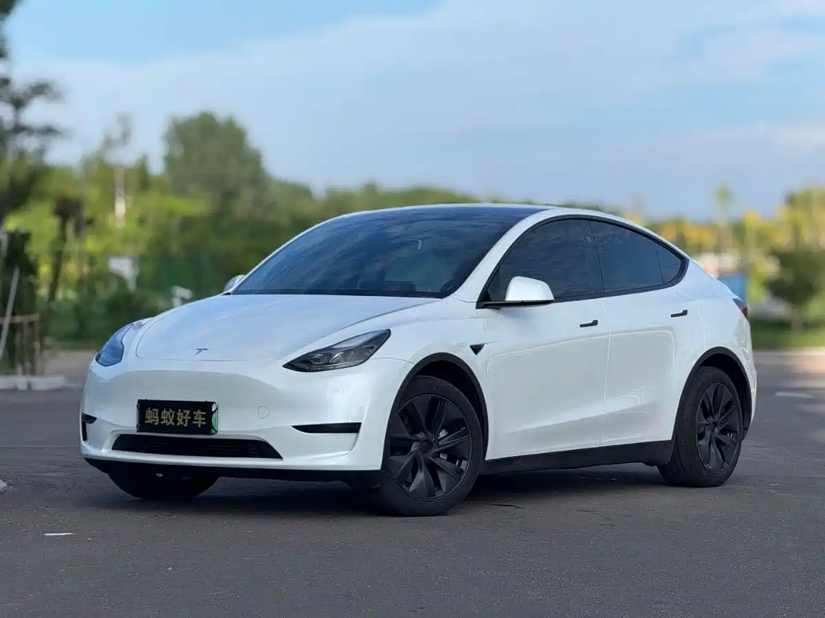 Tesla Model Y 2024 Rear-Wheel Drive Version