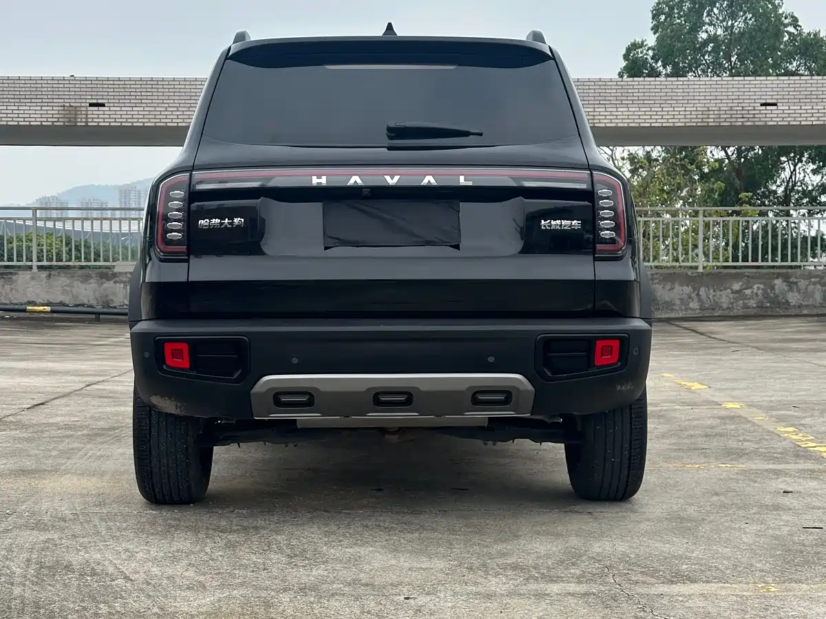 Haval Big Dog 2022 1.5T DCT FWD Border Collie Edition фото 8