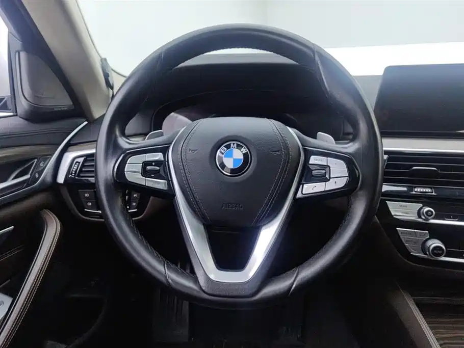 BMW 5 Series 2019 530Li Leading Luxury Package фото 15