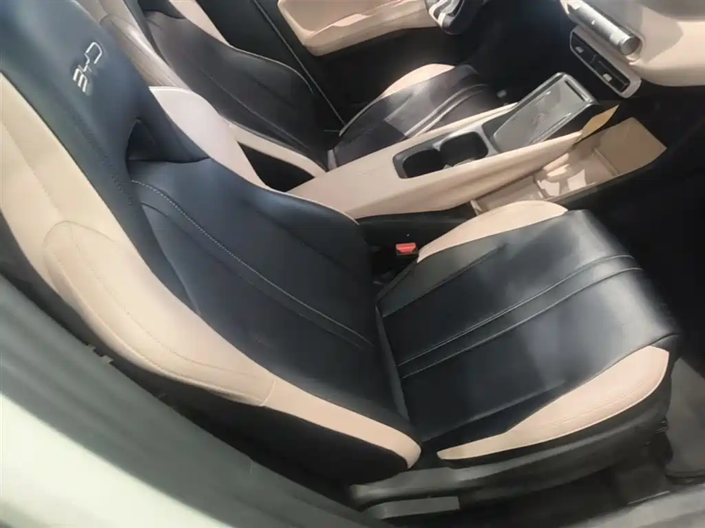 BYD Seagull 2024 Glory Edition 305km Freedom Edition фото 25