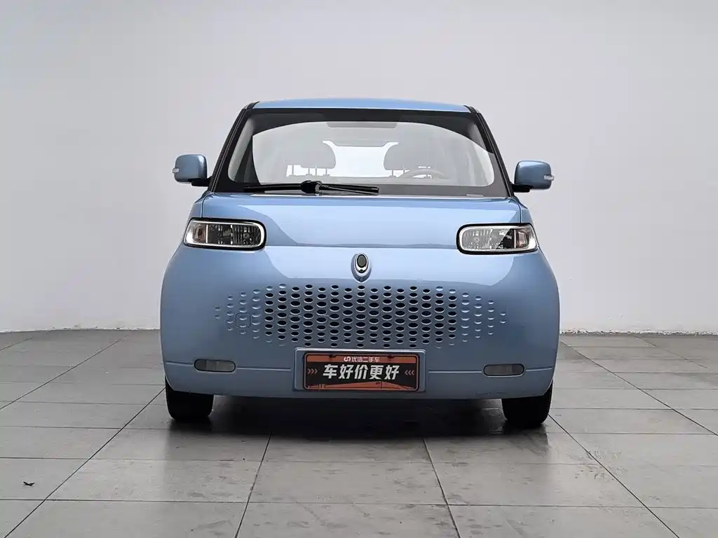 Ora White Cat 2021 2020 360km Luxury Model