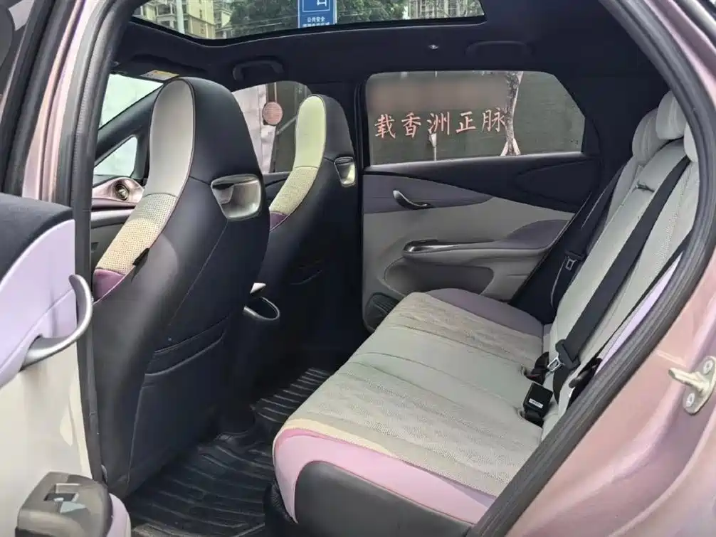 BYD Dolphin 2023 420km Fashion Edition фото 11