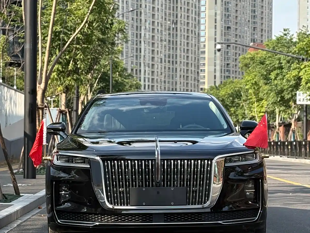 Фото 2 - Hongqi H9