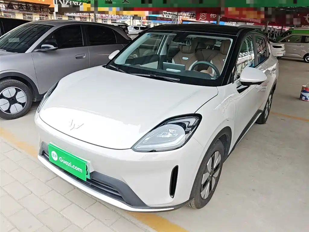 Wuling Motors Wuling Bingo S 2025 Model 325km Premium Edition