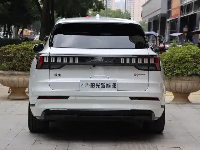 Lynk & Co 09 EM-P 2024 2.0TD EM-P AWD HALO 6-Seater — фото 5