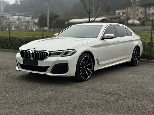 BMW 5 SERIES