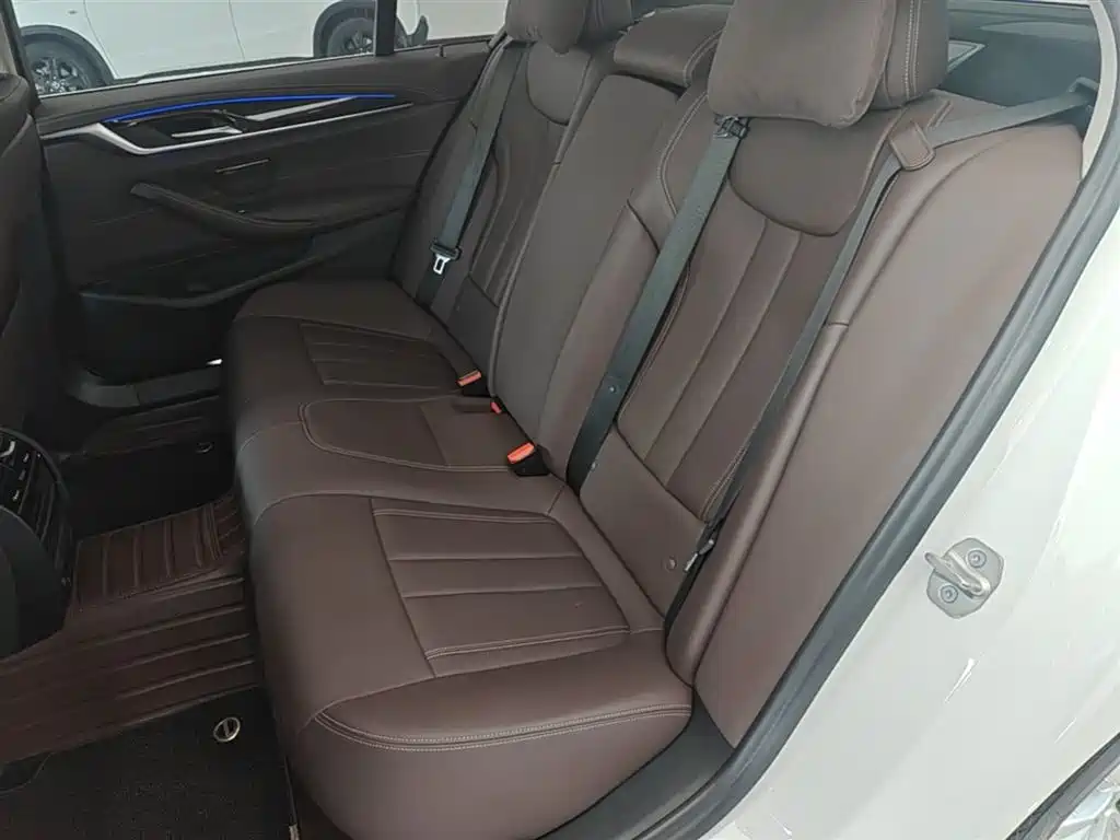 BMW 5 Series 2020 525Li Luxury Package фото 17