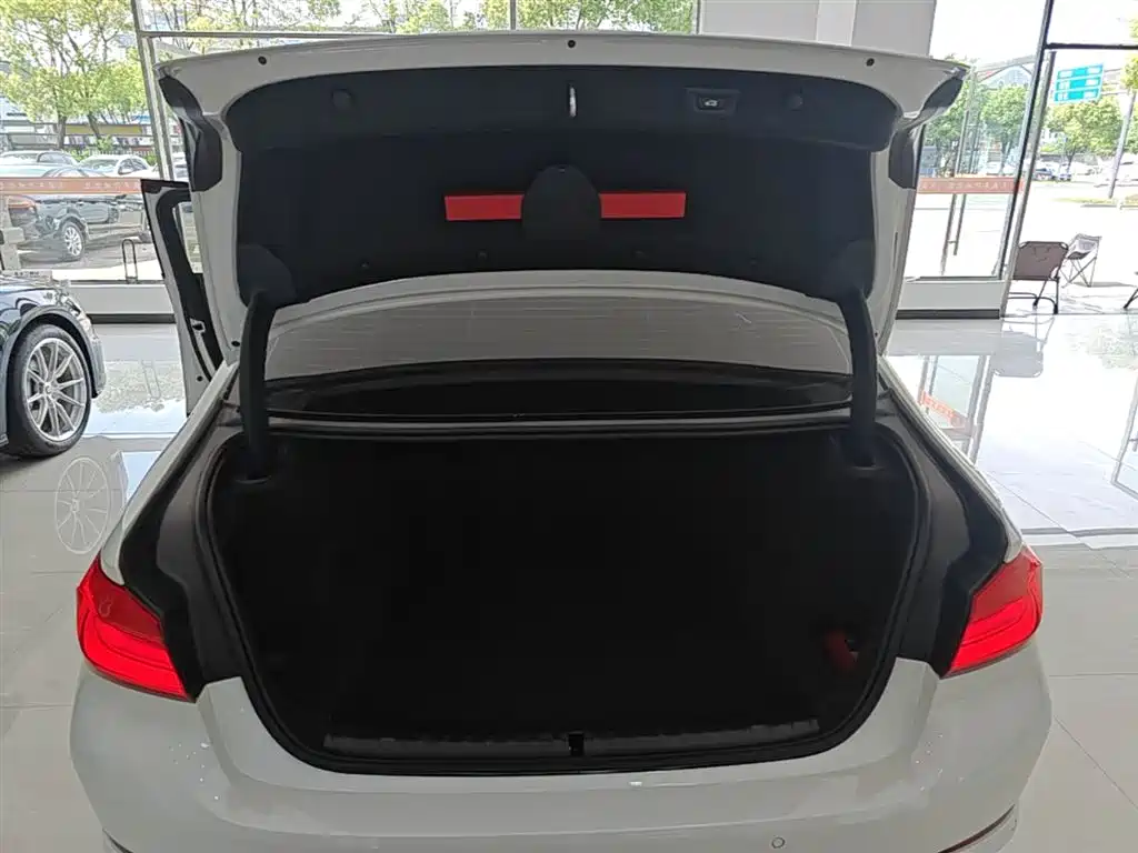 BMW 5 Series 2020 525Li Luxury Package фото 19