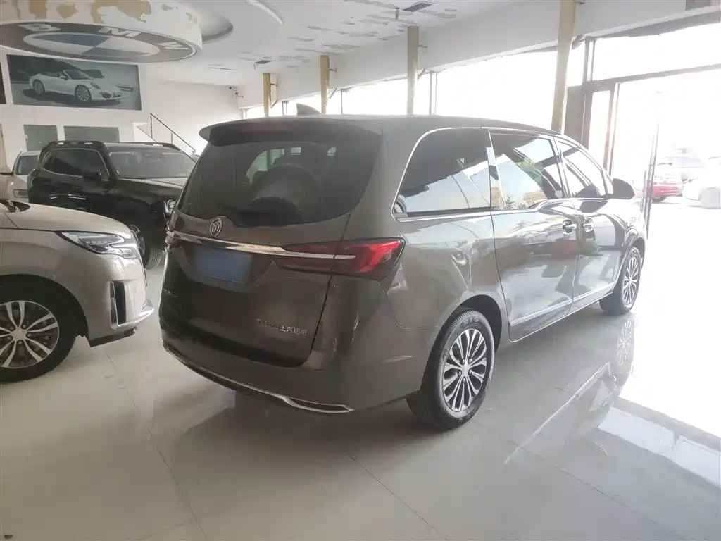 Buick GL8 2020 Model Land Business Class 652T Luxury фото 6