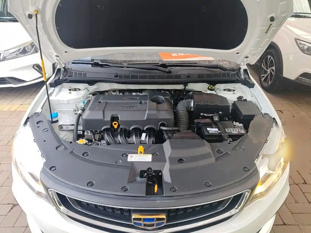 Фото 20 - Geely Vision