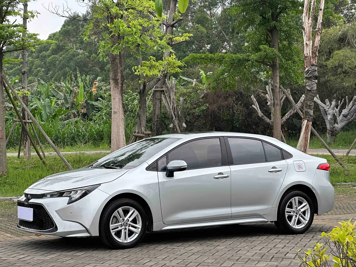 Toyota Levin 2019 185T CVT Luxury Edition China V