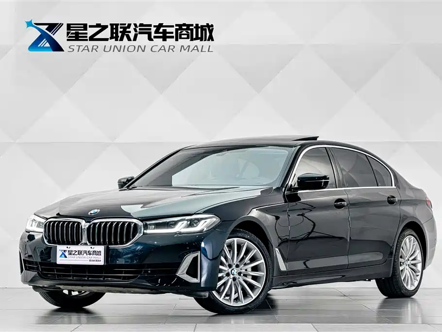 BMW 5 Series 2021 530Li Premium Luxury Package