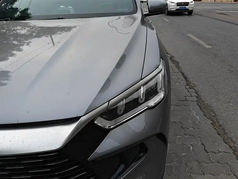 BYD Song Pro New Energy 2023 Champion Edition DM-i 110KM Excellence фото 5